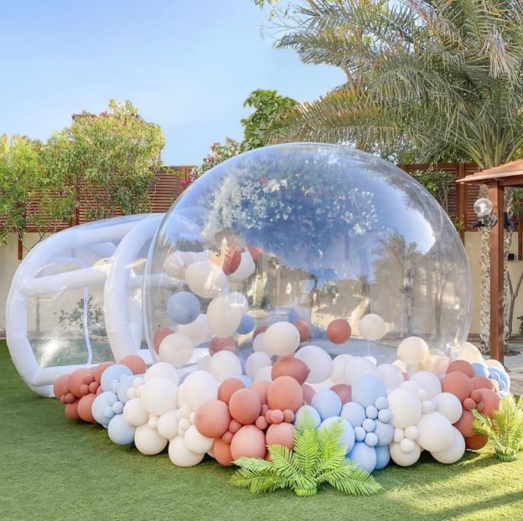 Bubble House/Gender Reveal
